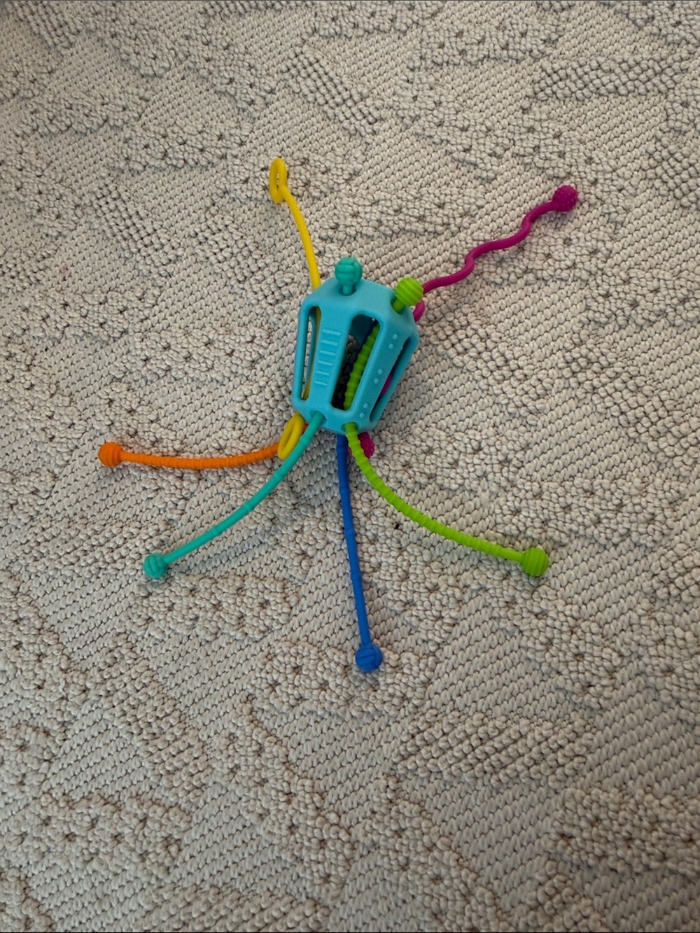 Mini Zippee Sensory play toy